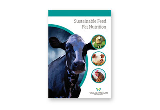 Sustainable fat brochure