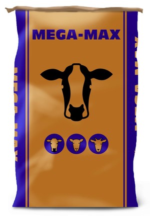 Mega-Max preview