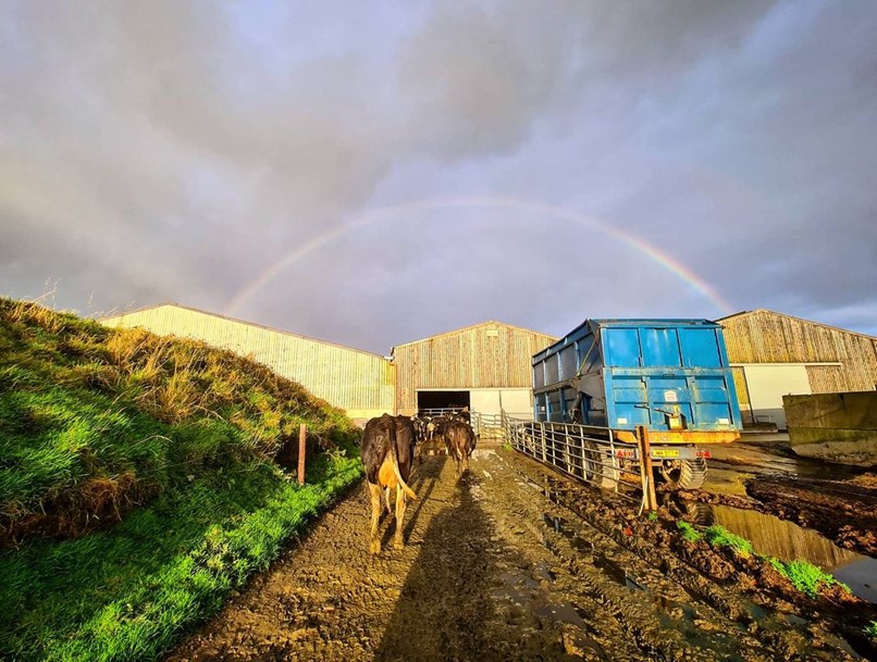 A pot of gold in each barn – surely that’s verging on greedy @farmerjessiom?!