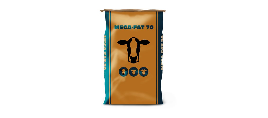 Mega fat 70 pack banner