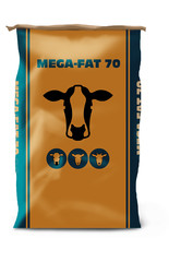 Mega fat 70 pack product listing