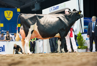 Uk dairy day listing
