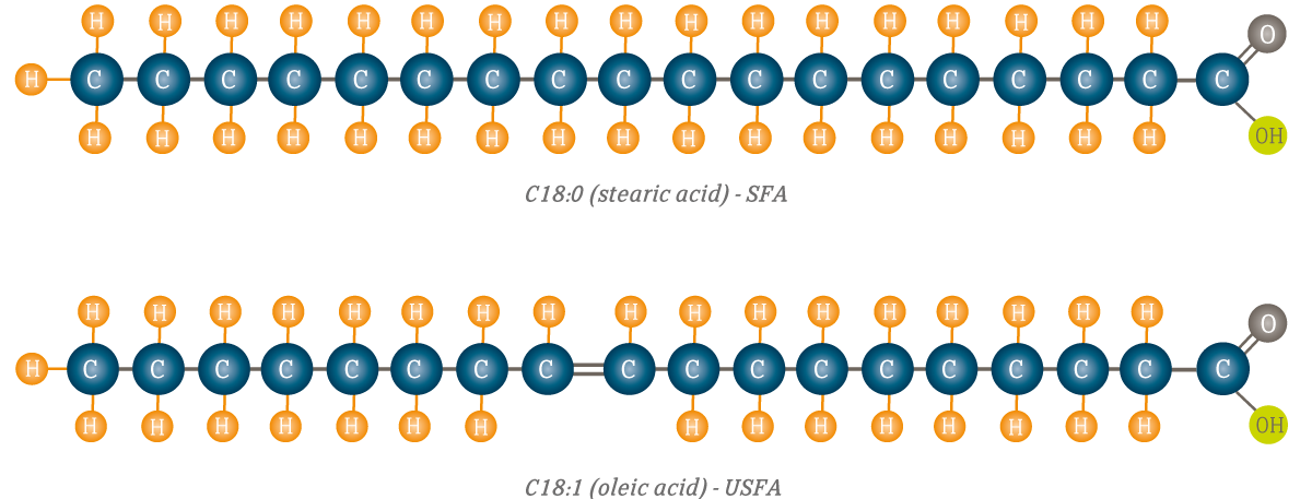 SFA and USFA