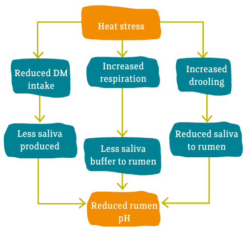 Heat-Stress