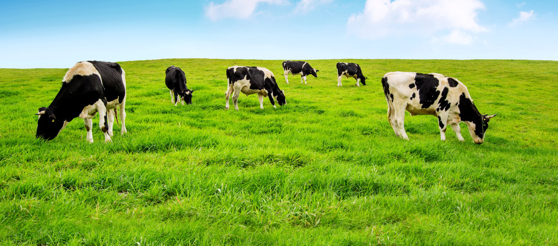 Shutterstock 322888487 banner