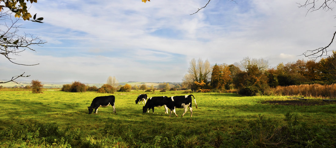 Shutterstock 64476592 banner