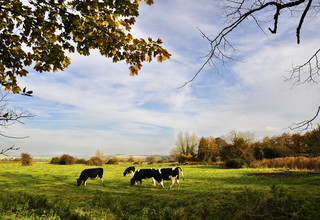 Shutterstock 64476592 listing