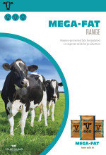 01834 mega fat 4pp brochure 2024 page 1 brochure listing