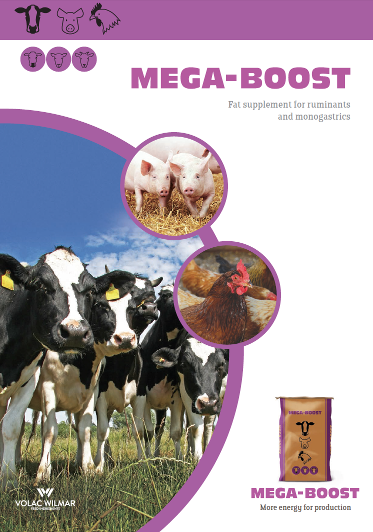 Mega Boost Mega-Boost