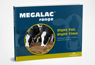 EBook: Right fat, right time Image