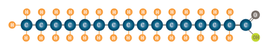 Structure of palmitic acid (C16:0)