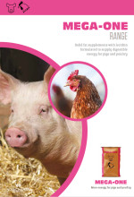 Mega one brochure listing