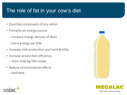 Role of fat in cow's diet