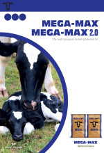 01834 mega max 4pp brochure 2024 page 1 brochure listing
