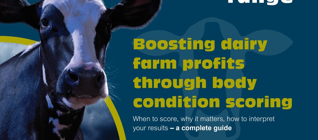 Body condition scoring blog img banner