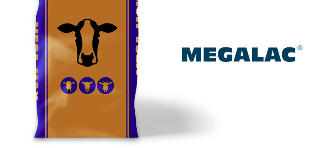 00000 megalac megamax tw post 110918 banner