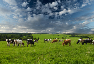 Newshutterstock 138906953 original listing