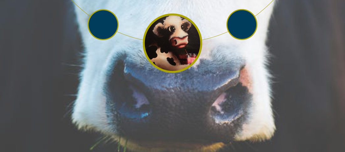00995 megalac fertilityblogs stg13 banner