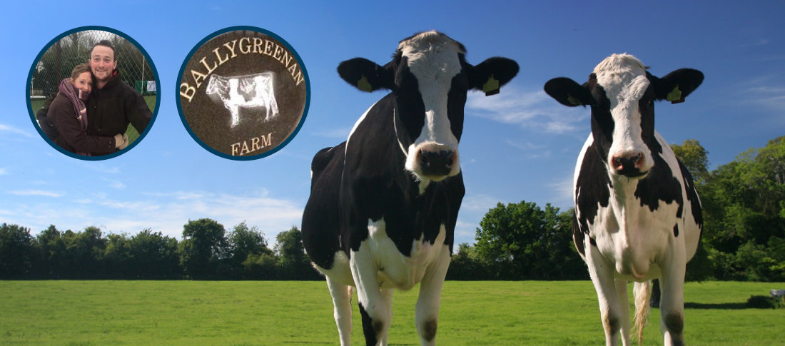 01213 megalac dairyfarmers blogasset 1100x485px2 banner
