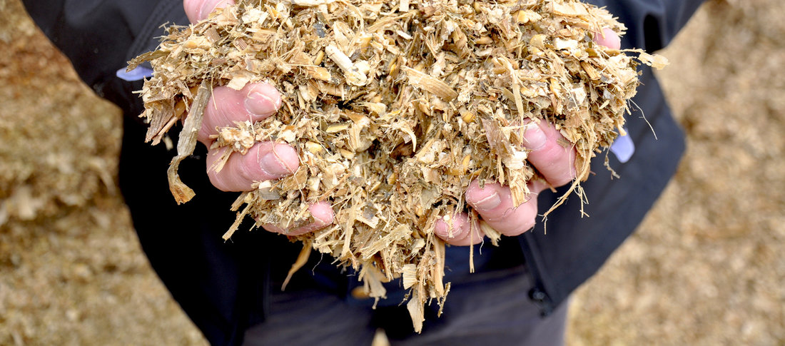 Maize silage  300 banner