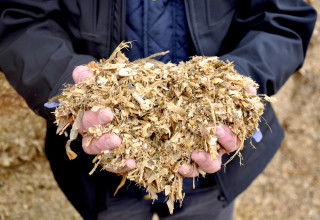 Maize silage  300 listing