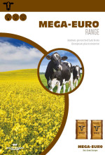 Vol 00263 mega eur 4pp brochure 2019 brochure listing