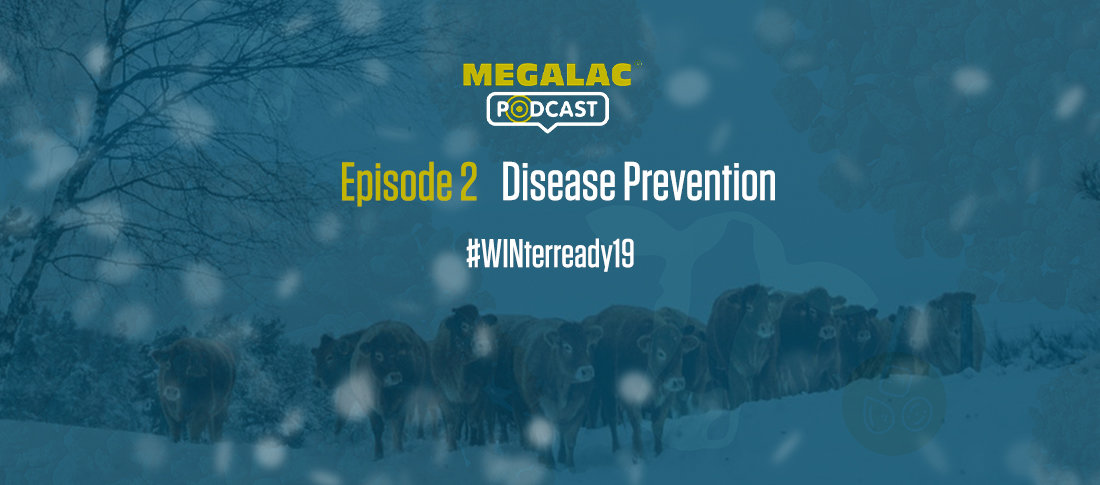 Epi 2 preventing disease blog banner