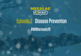 Epi 2 preventing disease blog listing