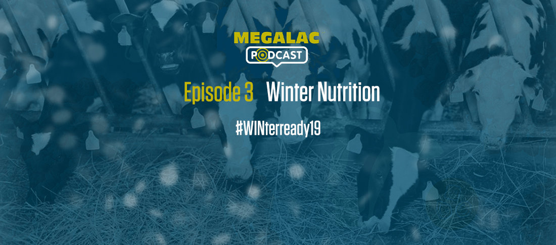 Epi 3 winter feed blog banner