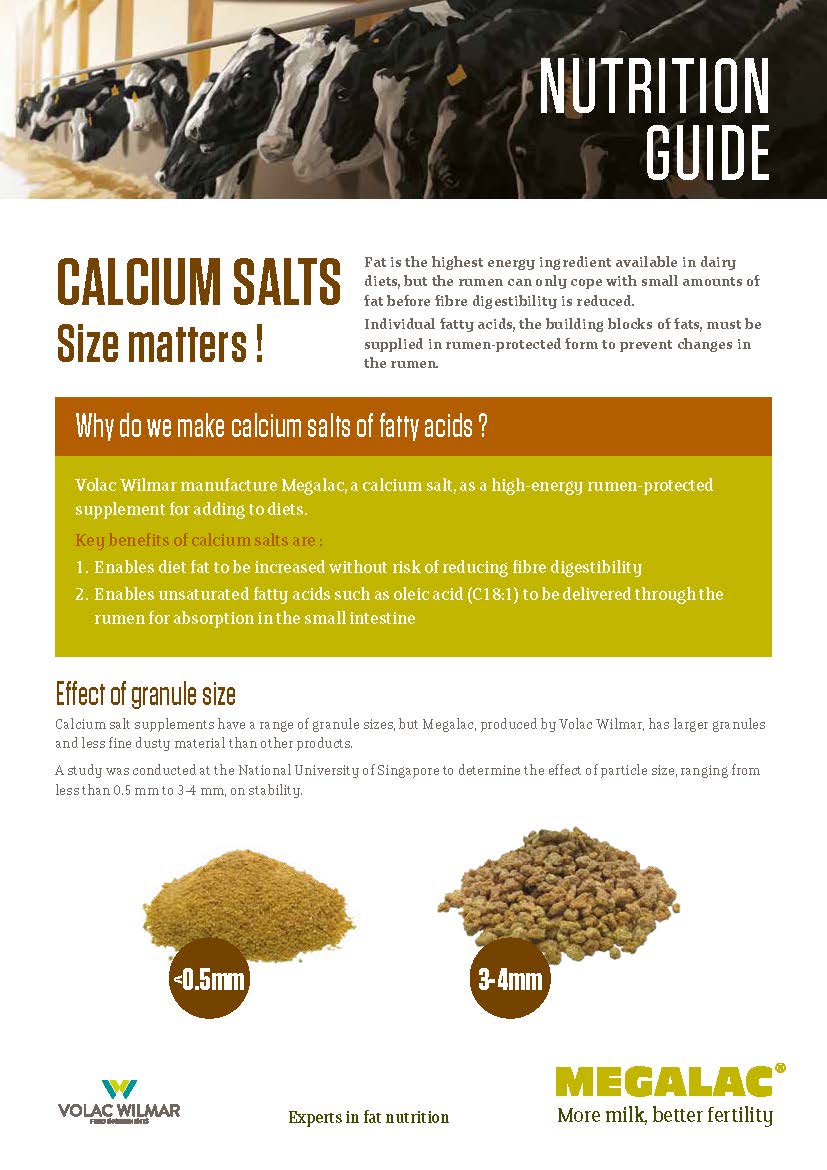 Nutrition Guide Calcium Salts Size Matters