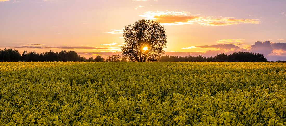 Toomas tartes tzmmauagbwu unsplash banner
