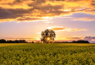 Toomas tartes tzmmauagbwu unsplash listing