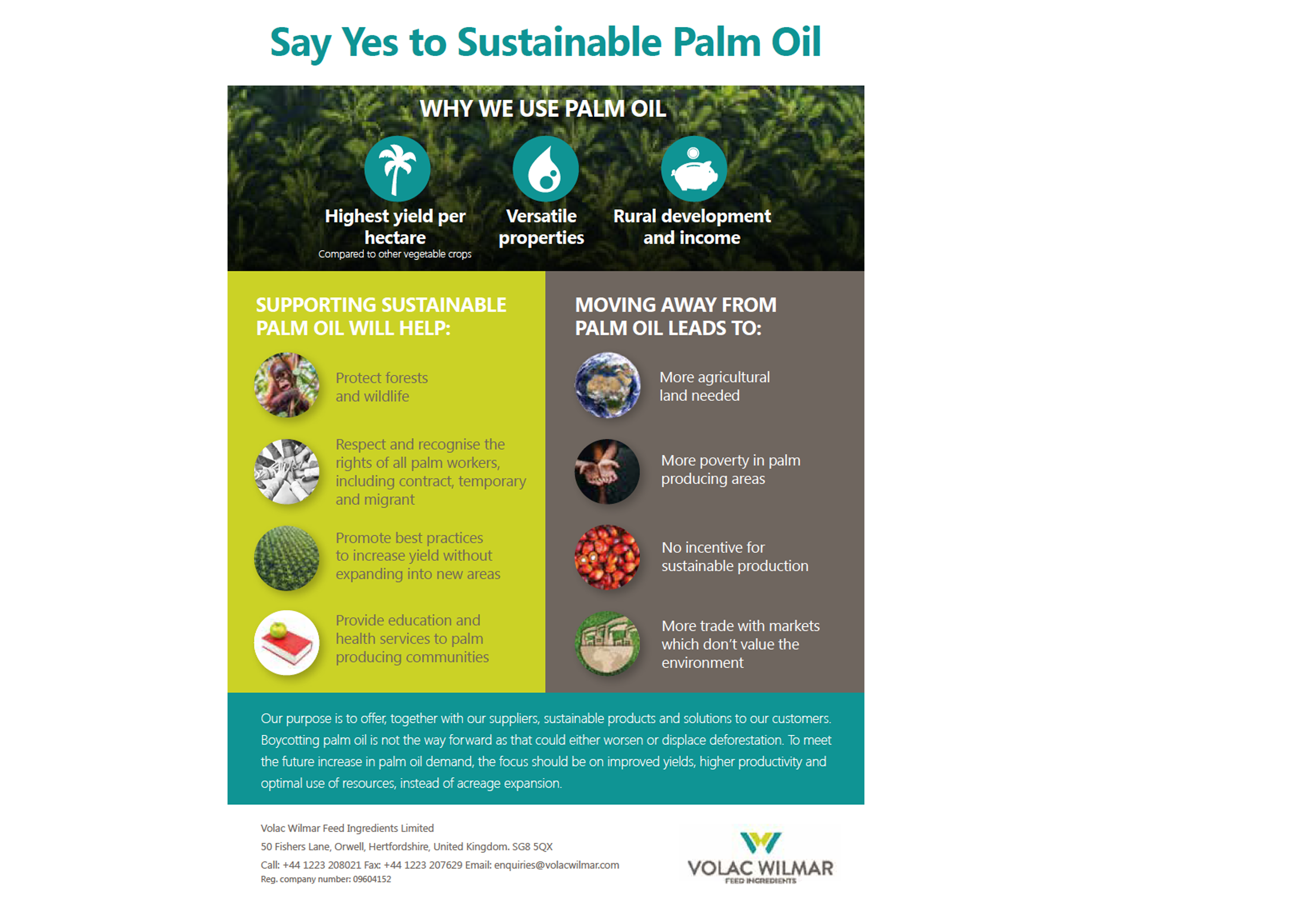  Palm Oil Infographic 