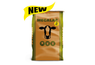 New Megalac 2.0