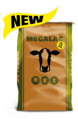 Megalac 2.0 new 01 product listing