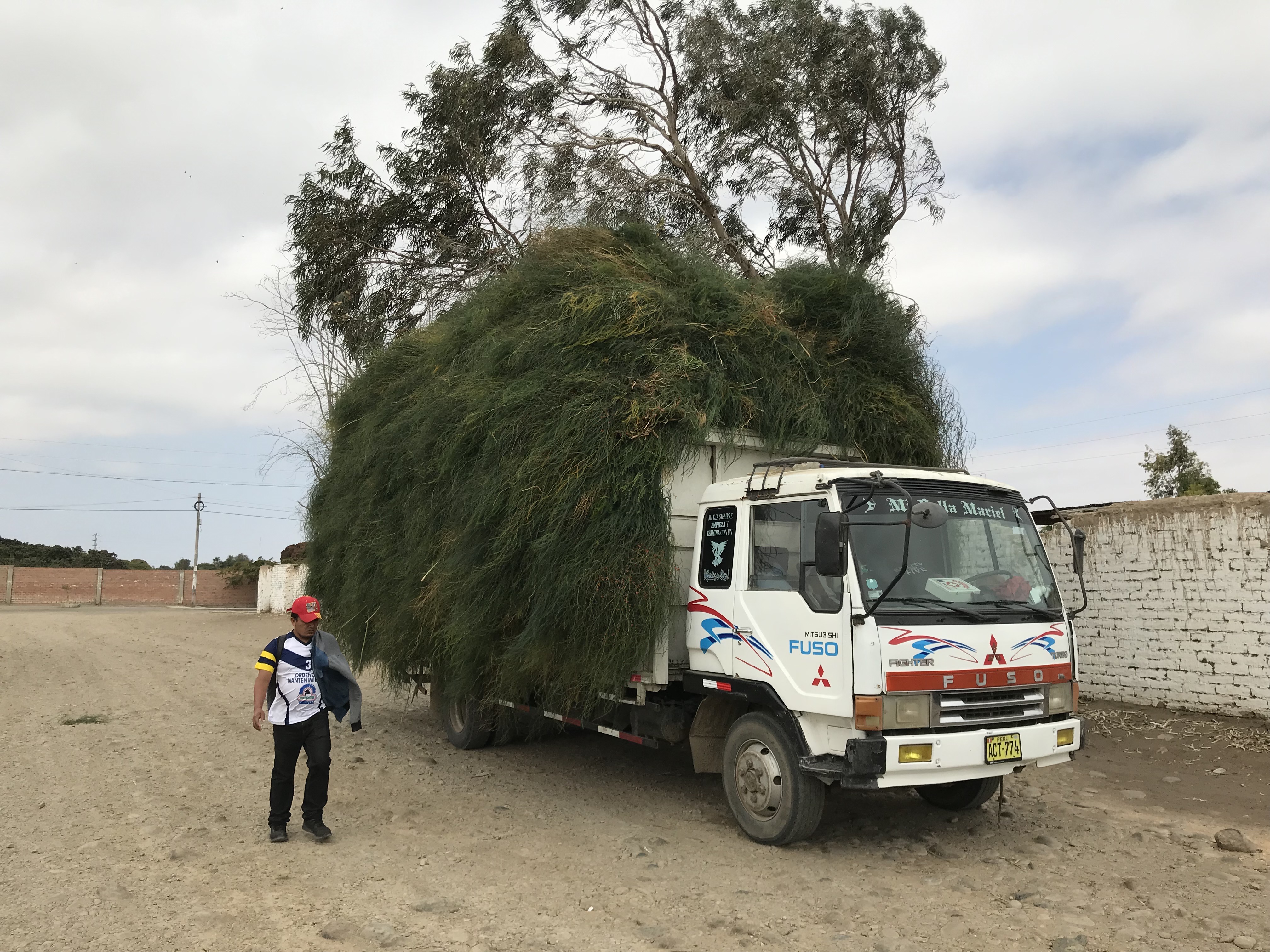 Asparagus lorry in peru