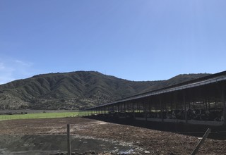 Chile farm   corral listing