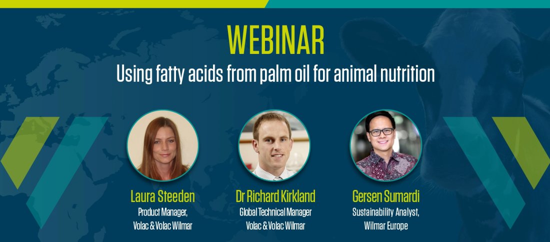 Webinar: Using fatty acids from palm oil for animal nutrition speaker screen