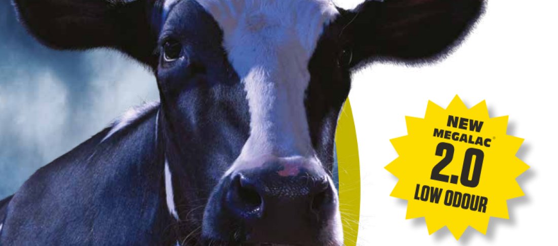 Megalac 2 0 header banner