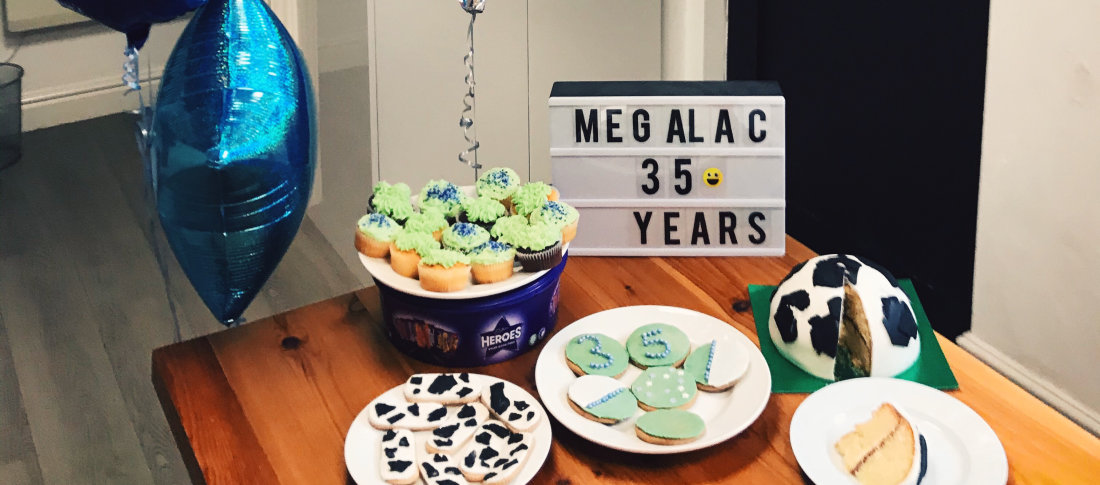 Megalac birthday header banner