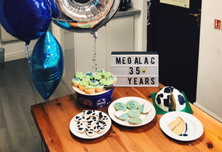 Megalac birthday header listing