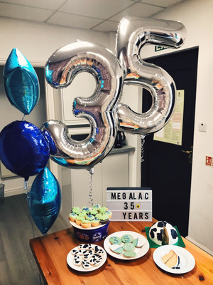 OurMegaBirthday Retro