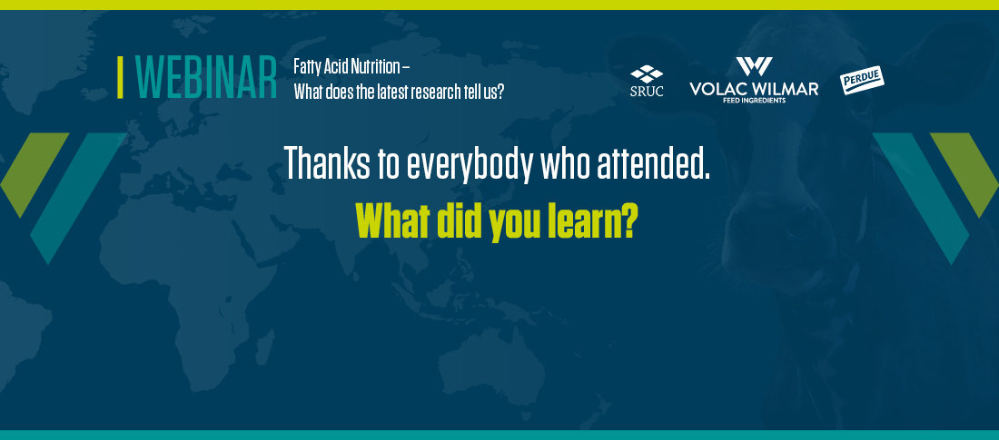 01672 post vwfi webinar graphics blog %281%29 banner