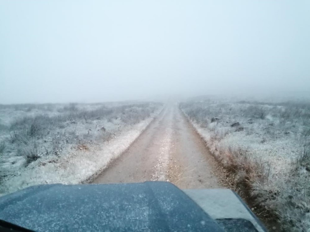 It wouldn’t be winter without at least one snow pic – albeit a dusting! Thanks for sharing @highfieldsherdy 