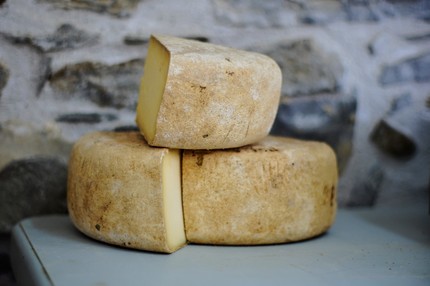 Cheese facts