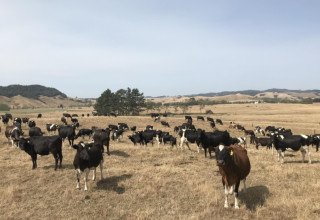 Ex farming 4 listing