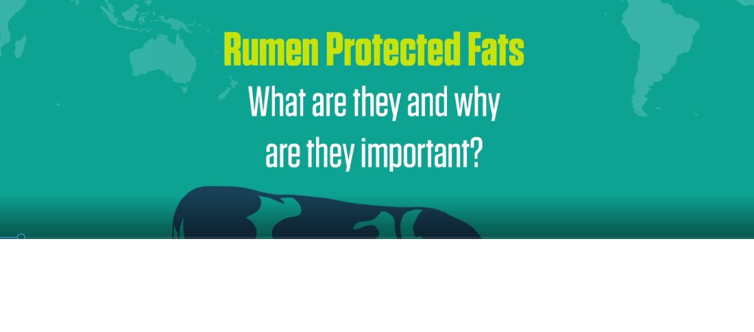 Rumen screengrabedit banner