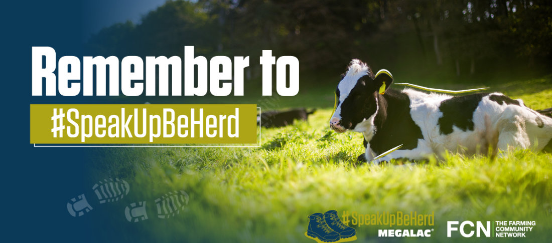 01796 megalac speakupbeherdcampaign concept v22 %281%29 banner