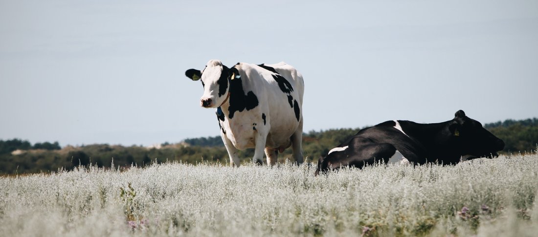 Erik jan leusink 3hiueh4sg5y unsplash banner