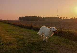 Massimo negrello byyzyr8ulg0 unsplash listing